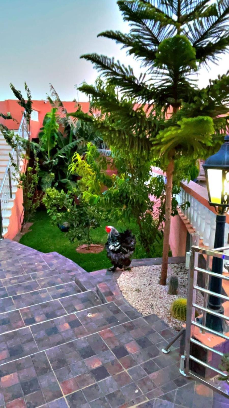 Riad Dar Salam Agadir Esterno foto